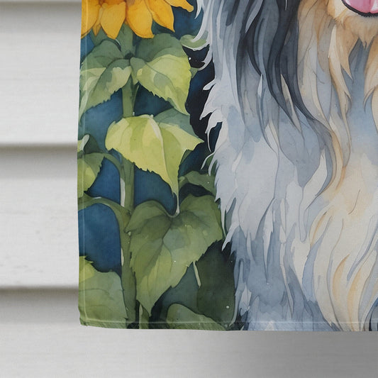Bandera para casa: Bearded Collie en Girasoles